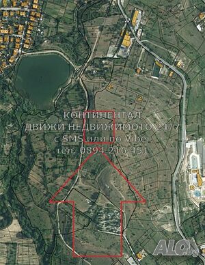 image_8