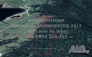 image_6