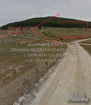 image_11
