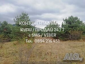 image_12
