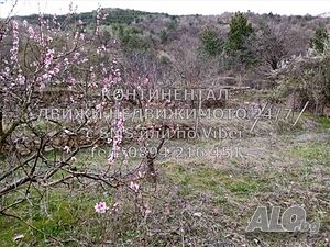 image_10