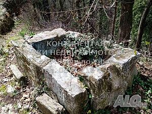 image_11