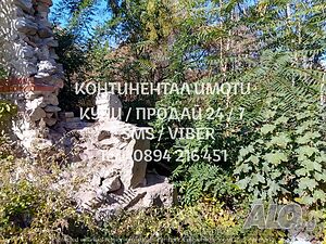 image_5