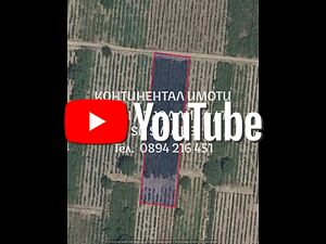 кодг 62869 Лозе 3000м2 на 700 метра от нов асфалтов път