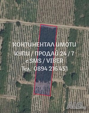 image_3