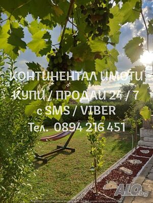 image_11