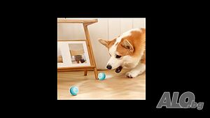 image_5