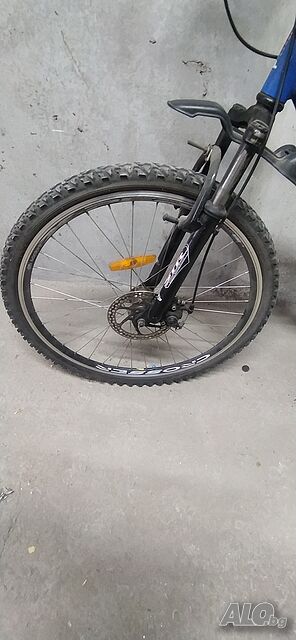 image_4