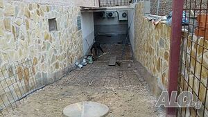 image_11