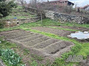 image_6