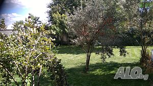 image_10