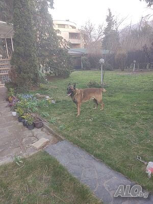 image_3