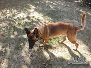image_4