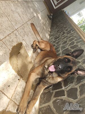 image_5