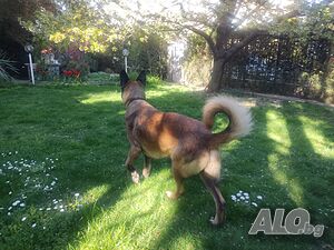 image_9