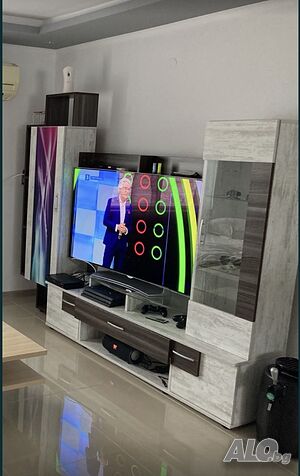 Холна секция