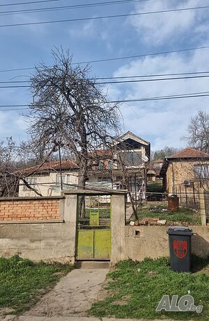 image_2