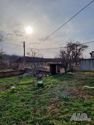 image_15