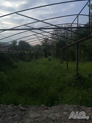 Продава ДВОР област Велико Търново, с. Джулюница, 14 000 €