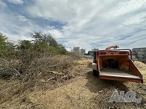 image_12