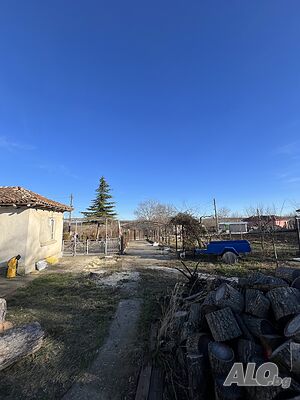 image_3