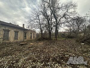 image_11