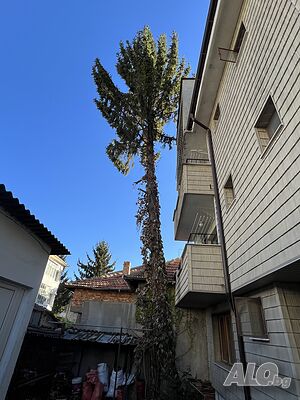 image_14