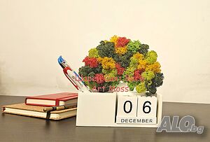 image_12