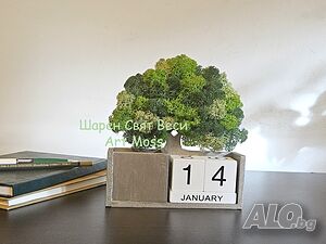 image_4
