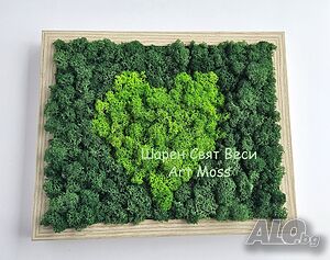 image_3
