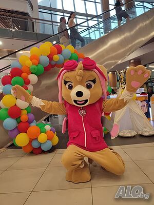 image_6