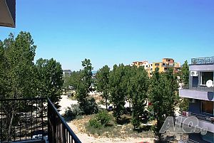image_12