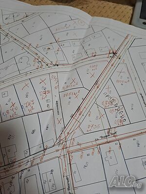 image_5