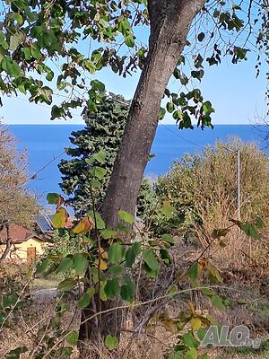 image_3