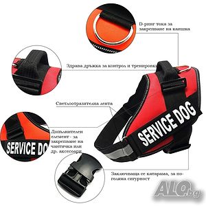 image_3