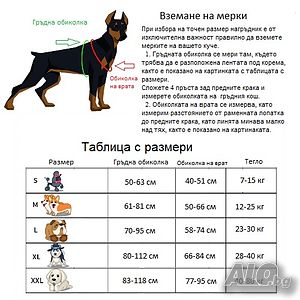 image_4