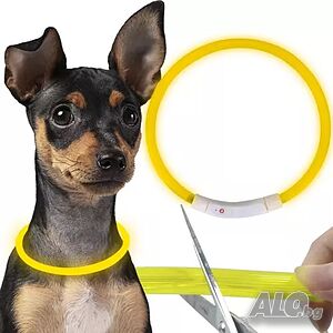 LED Нашийник Purlov, Регулируем, до 70см, Жълт