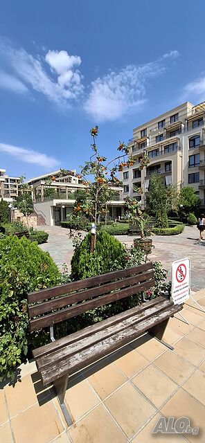 image_41