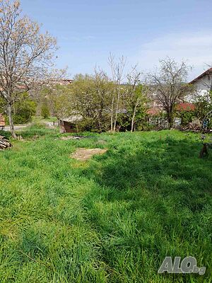 image_5