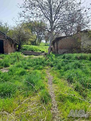 image_7