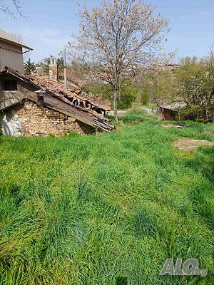 image_12