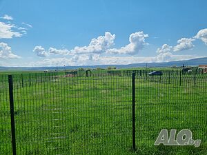 image_4