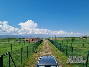 image_9