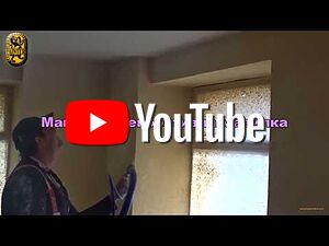 Шпакловчик бояджия