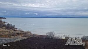 image_17