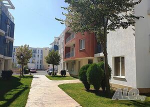 image_19