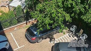 image_11