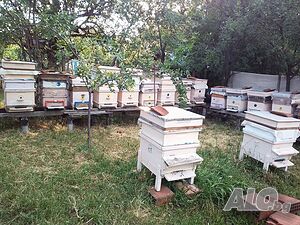 Продавам пчелни кошери 12бр