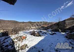 image_8