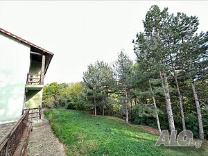 image_7